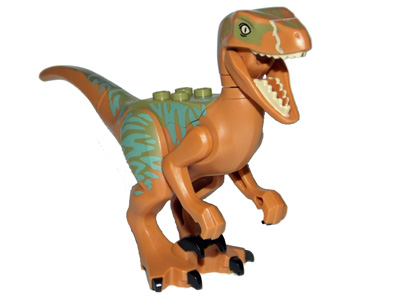 Raptor05